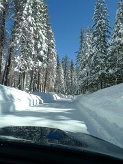 Yosemite_Valley (34)